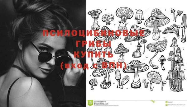 МДПВ Краснотурьинск