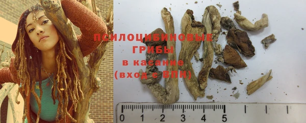 спиды Красноперекопск