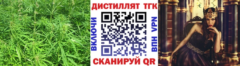 Дистиллят ТГК гашишное масло  Купить где  Ладушкин 