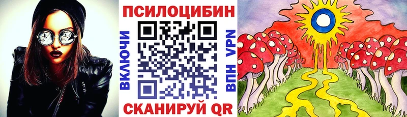 Псилоцибиновые грибы MAGIC MUSHROOMS  Купить где  Ладушкин 